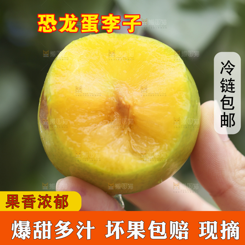 手里拿着恐龙蛋李子