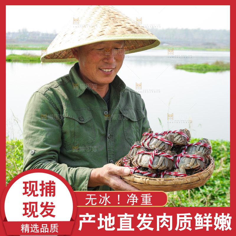 手里拿着阳澄湖大闸蟹