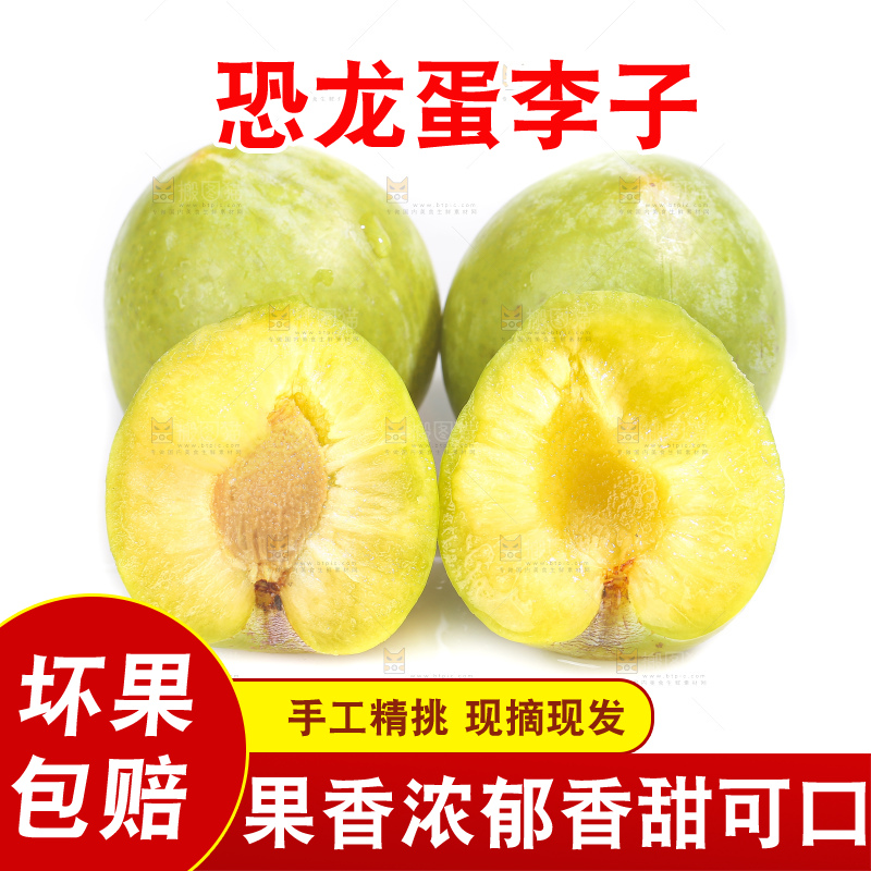 白底上放着新鲜恐龙蛋