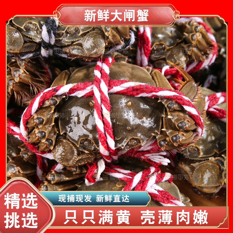 黑底上的鲜活大闸蟹