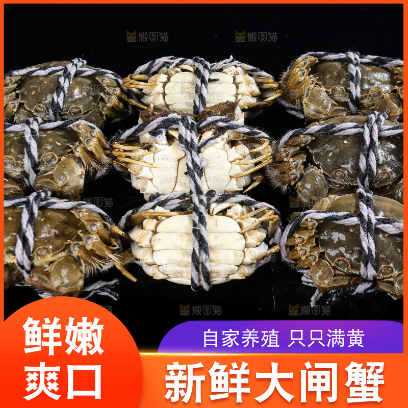 黑底上的鲜活大闸蟹