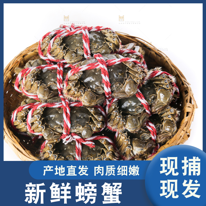 白底上的大闸蟹