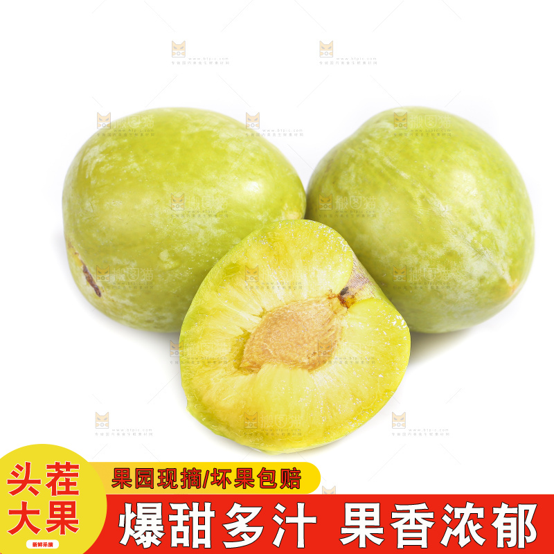 白底上放着新鲜恐龙蛋