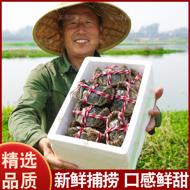 手里拿着阳澄湖大闸蟹