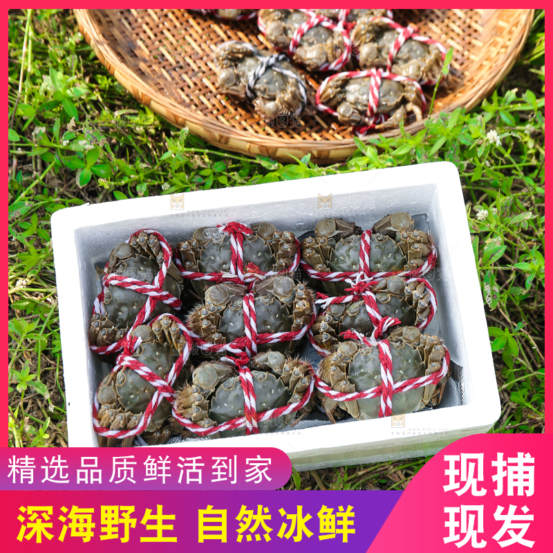 手里拿着阳澄湖大闸蟹