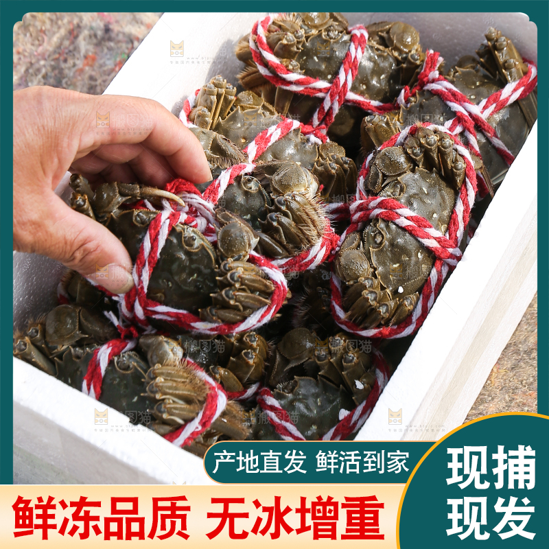 手里拿着阳澄湖大闸蟹