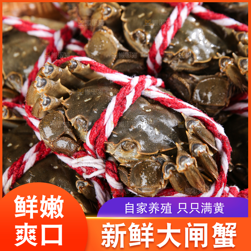 黑底上的鲜活大闸蟹