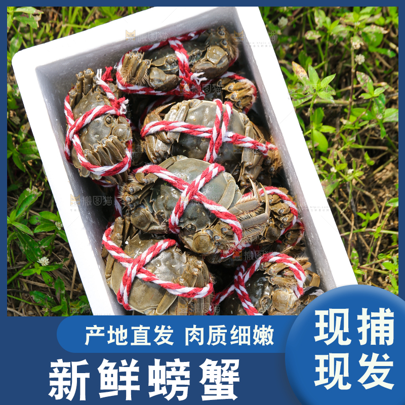 手里拿着阳澄湖大闸蟹