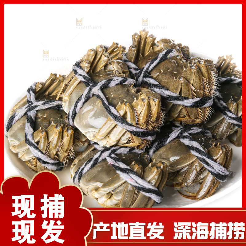 白底上的大闸蟹