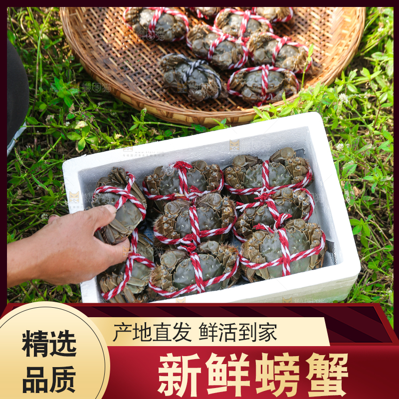 手里拿着阳澄湖大闸蟹