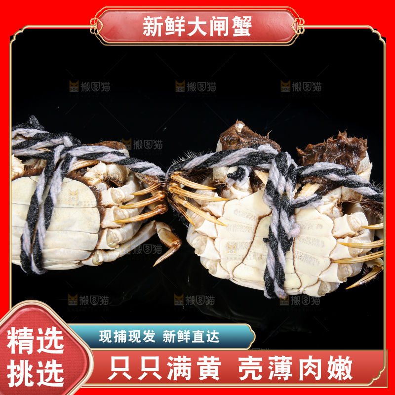 黑底上的鲜活大闸蟹