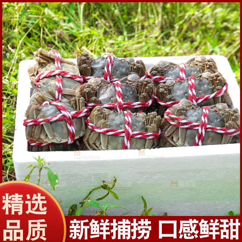 手里拿着阳澄湖大闸蟹