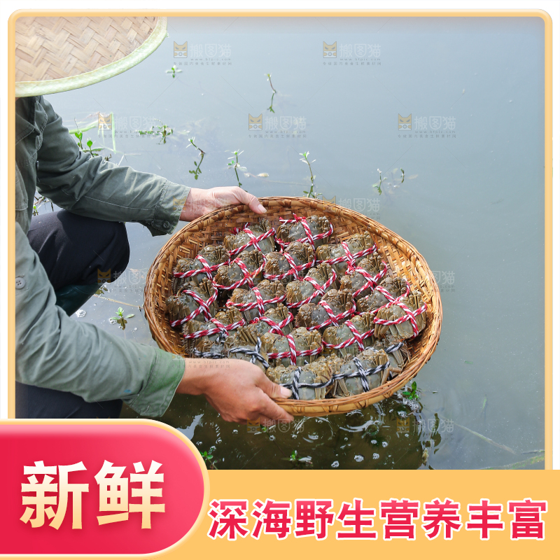 手里拿着阳澄湖大闸蟹