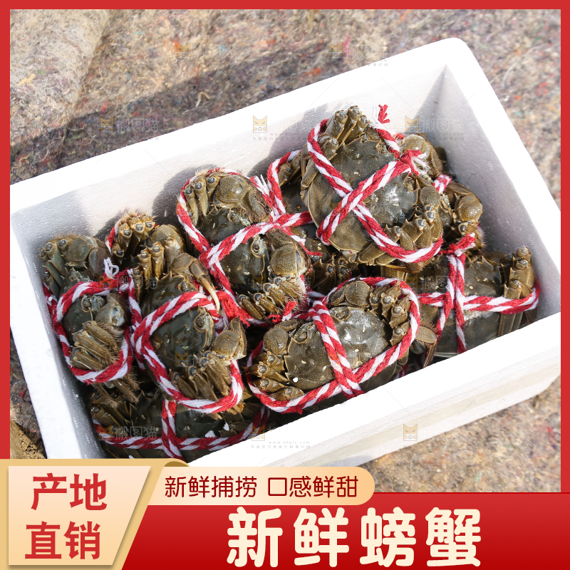 手里拿着阳澄湖大闸蟹