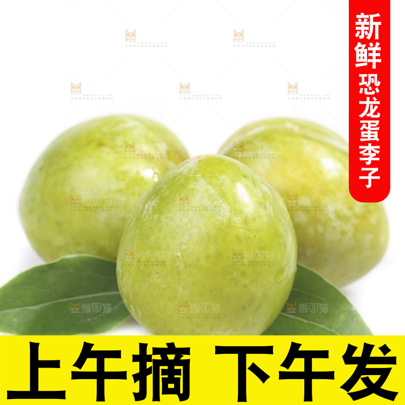 白底上放着新鲜恐龙蛋
