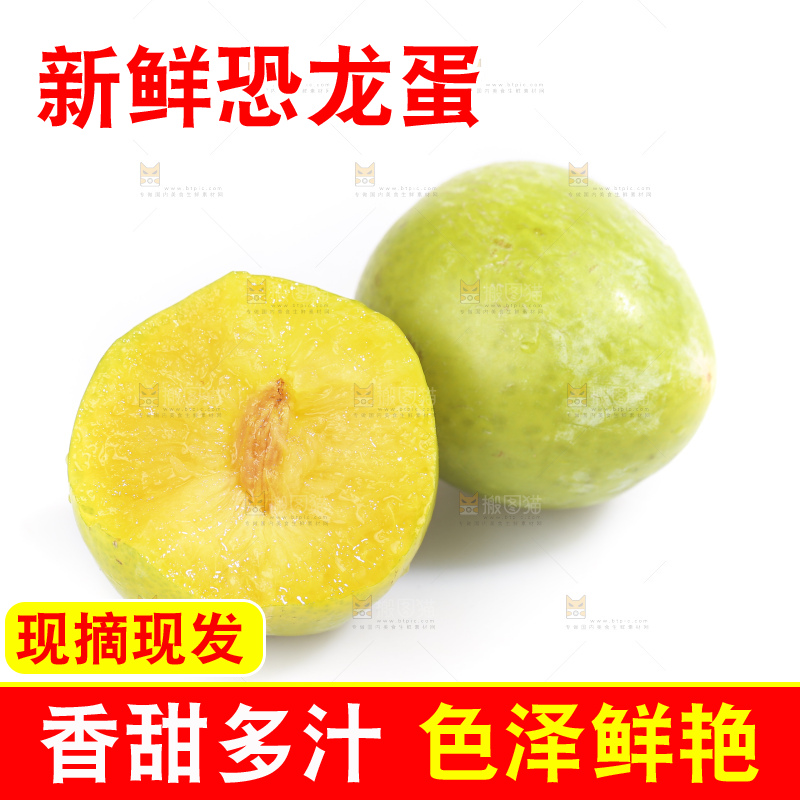 白底上放着新鲜恐龙蛋