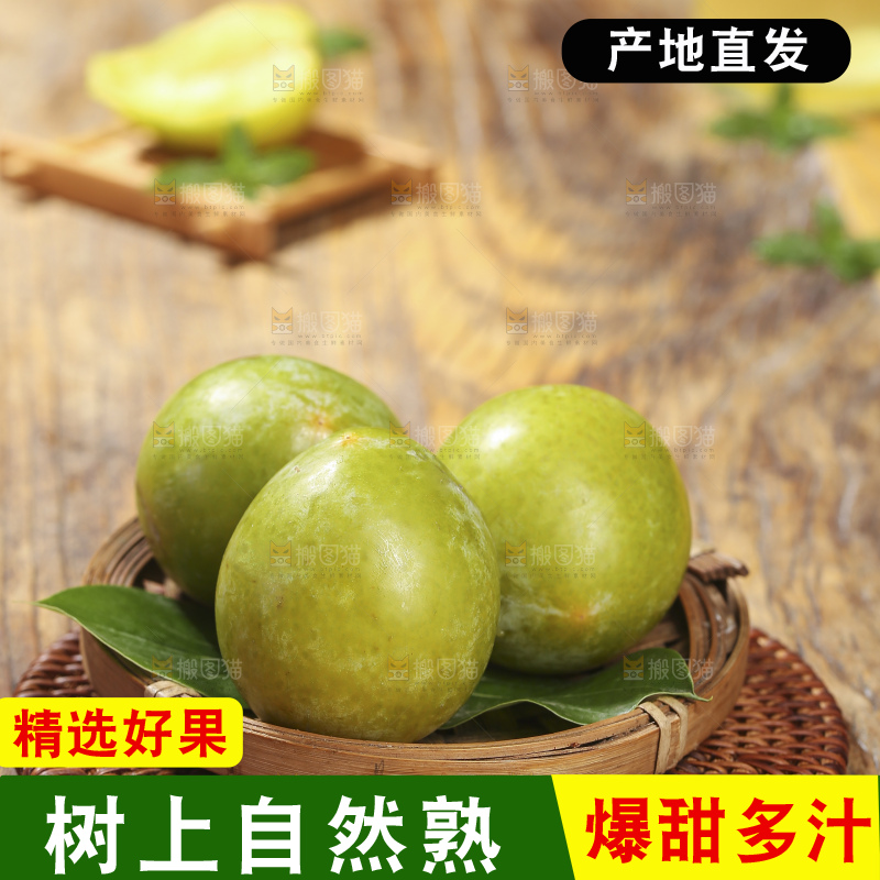 木底上放着恐龙蛋李
