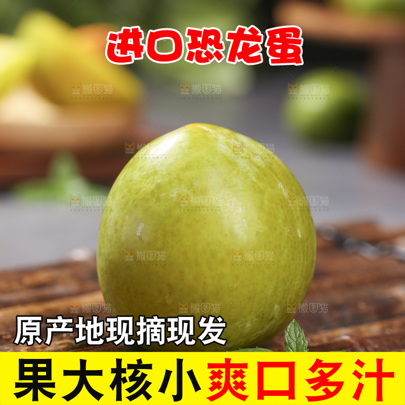 木底上放着恐龙蛋李