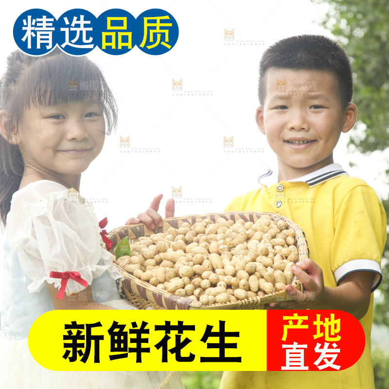 手里拿着现挖花生