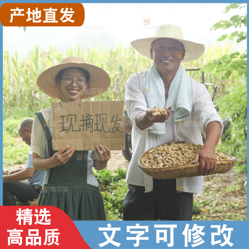 手里拿着现挖花生