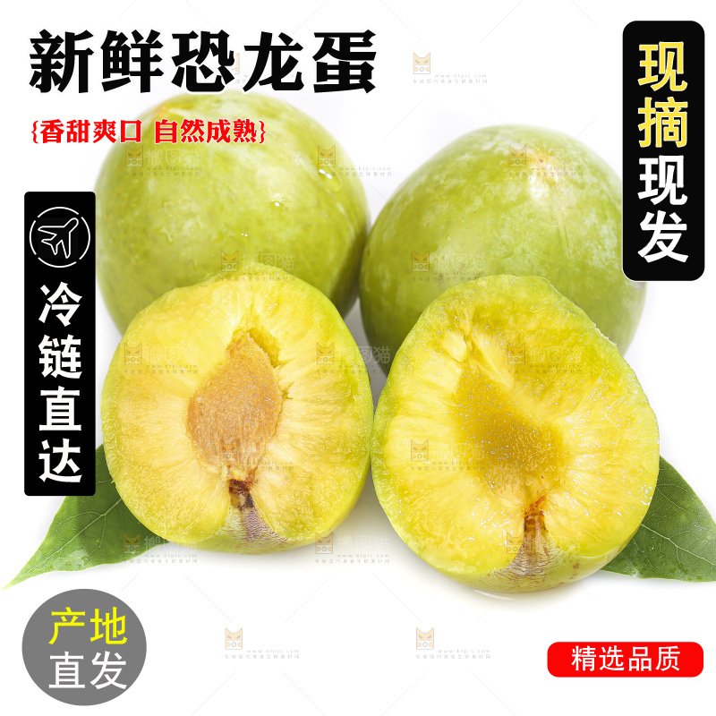 白底上放着新鲜恐龙蛋