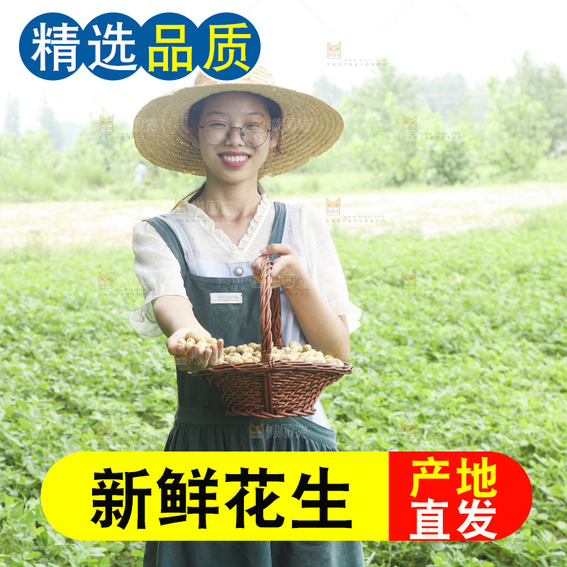 手里拿着现挖花生