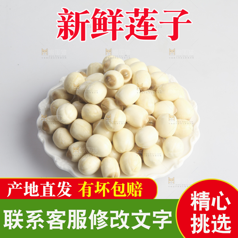 白底上的莲子
