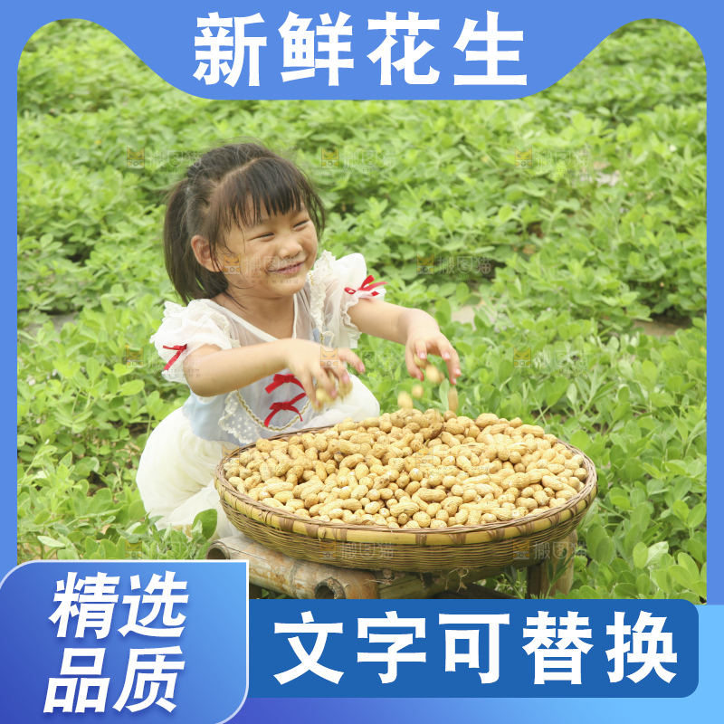 手里拿着现挖花生