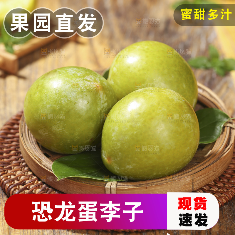 木底上放着恐龙蛋李