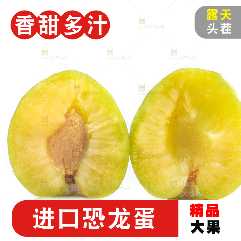 白底上放着新鲜恐龙蛋