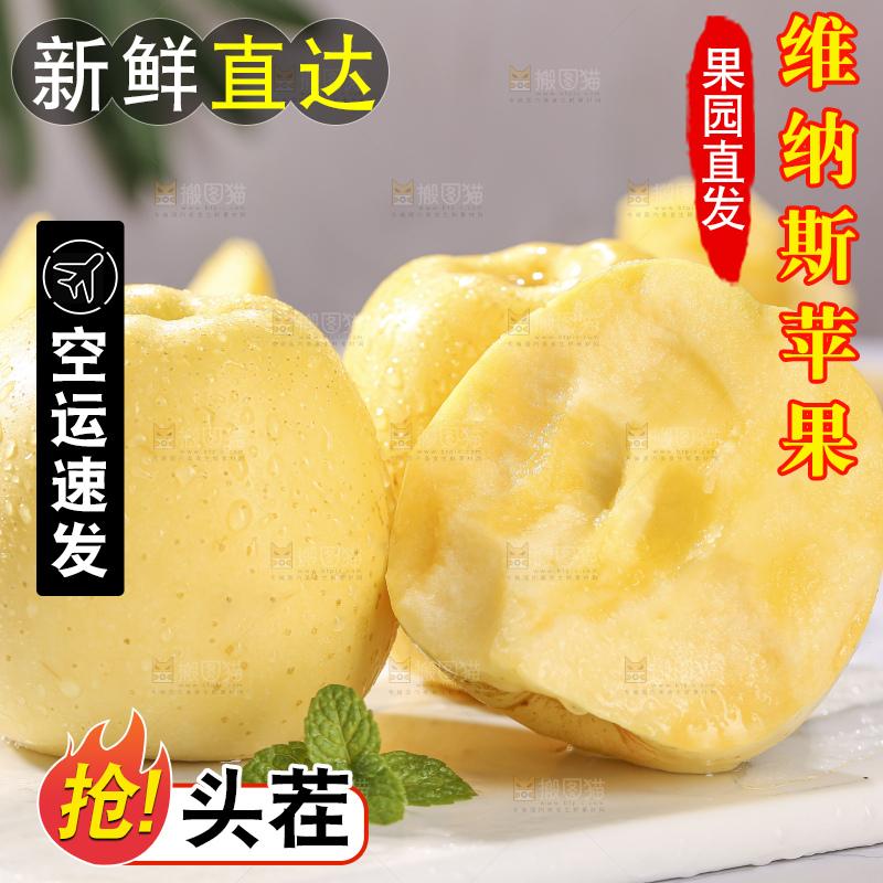 浅底上的维纳斯苹果
