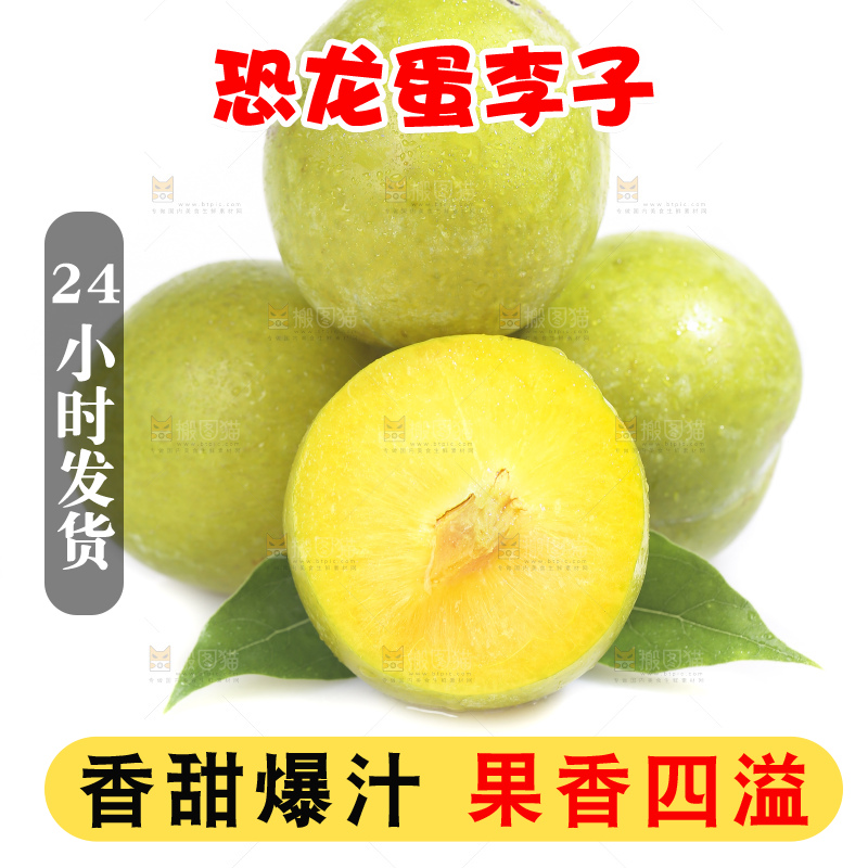 白底上放着新鲜恐龙蛋