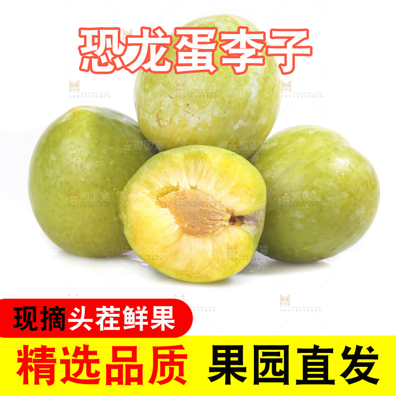 白底上放着新鲜恐龙蛋