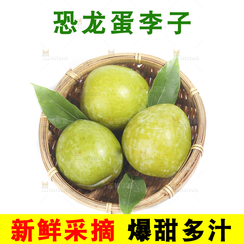 白底上放着新鲜恐龙蛋