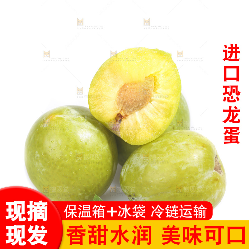 白底上放着新鲜恐龙蛋
