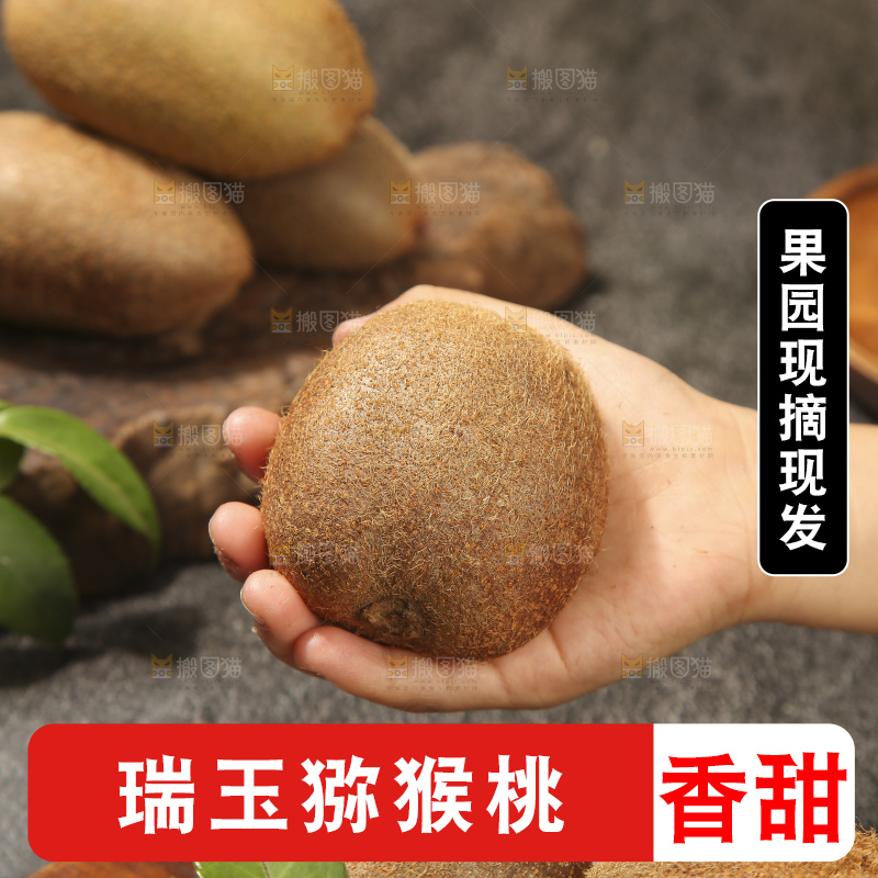 深底上的瑞玉猕猴桃
