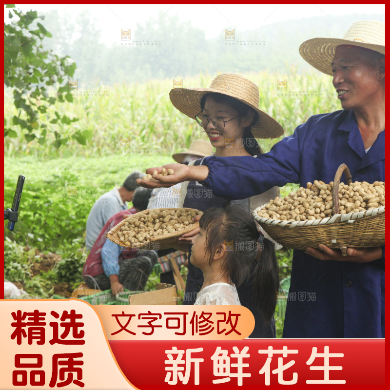 手里拿着现挖花生