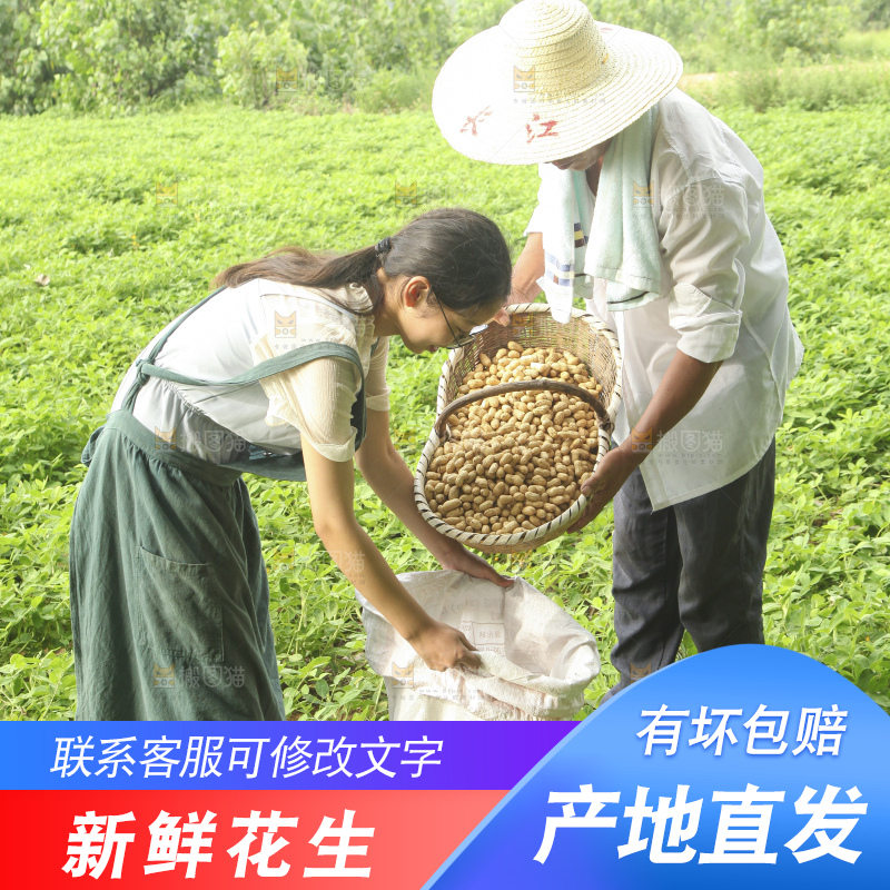 手里拿着现挖花生