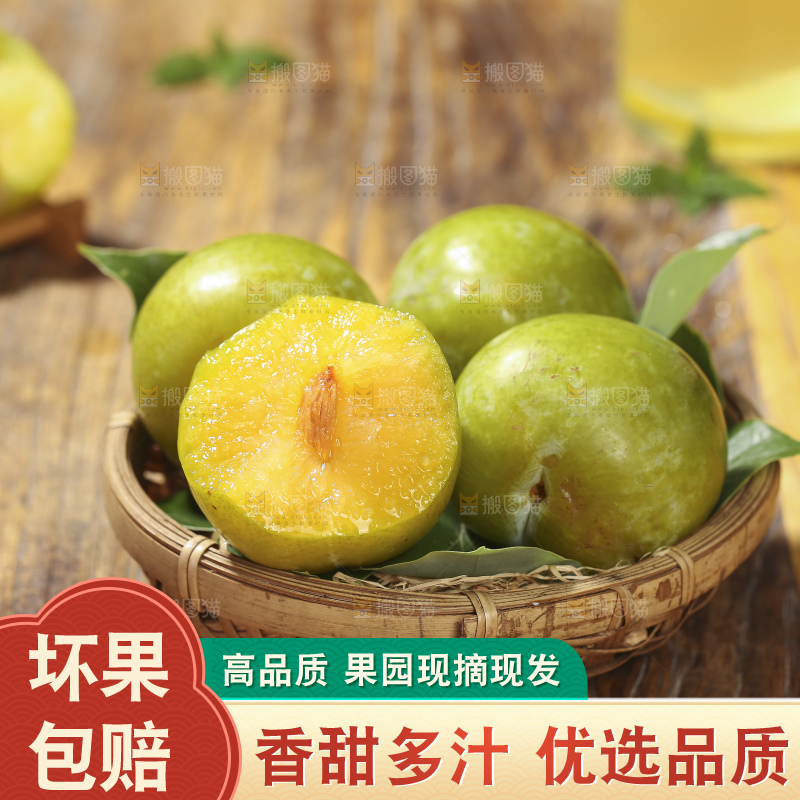木底上放着恐龙蛋李