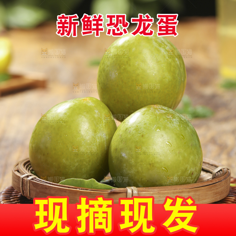 木底上放着恐龙蛋李