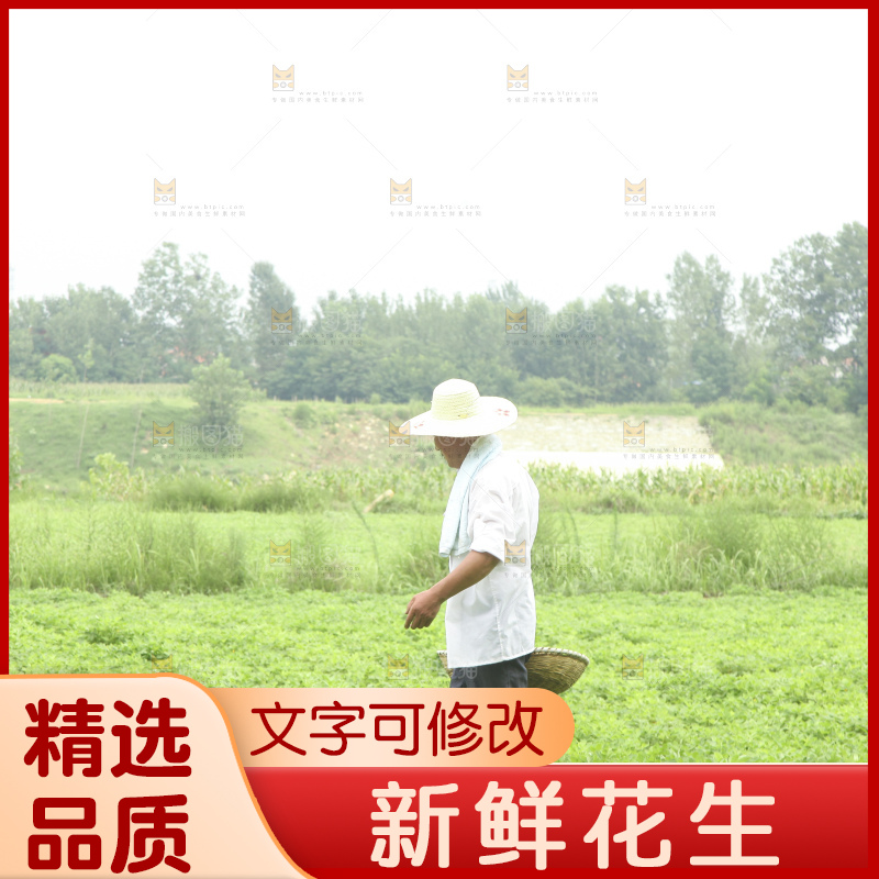 手里拿着现挖花生