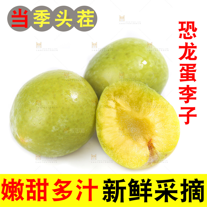 白底上放着新鲜恐龙蛋