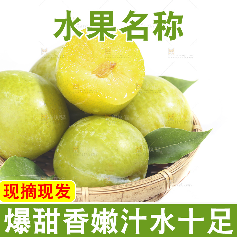 白底上放着新鲜恐龙蛋