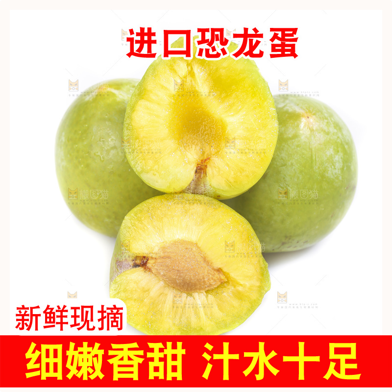 白底上放着新鲜恐龙蛋