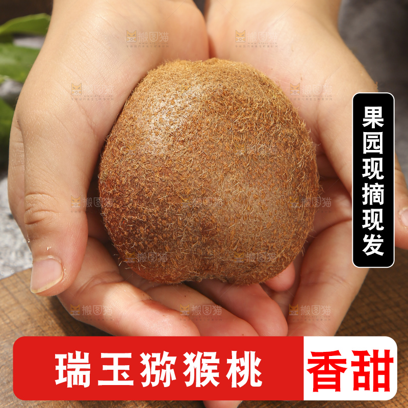 深底上的瑞玉猕猴桃