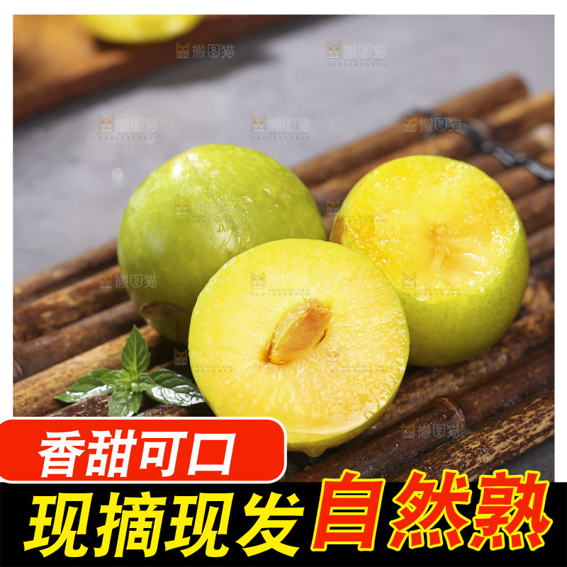 木底上放着恐龙蛋李