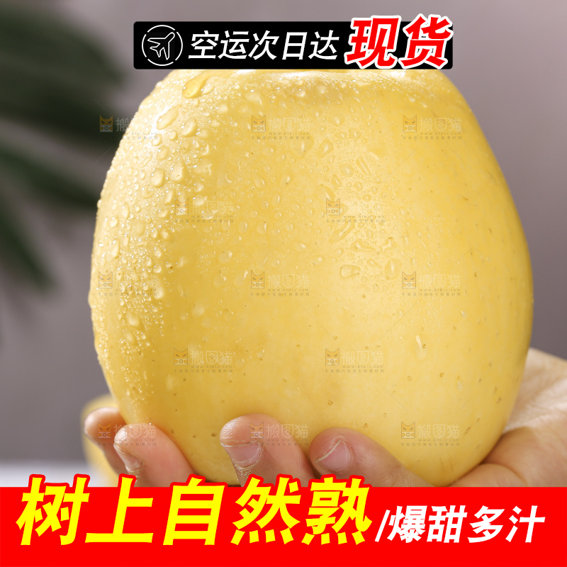 浅底上的维纳斯苹果