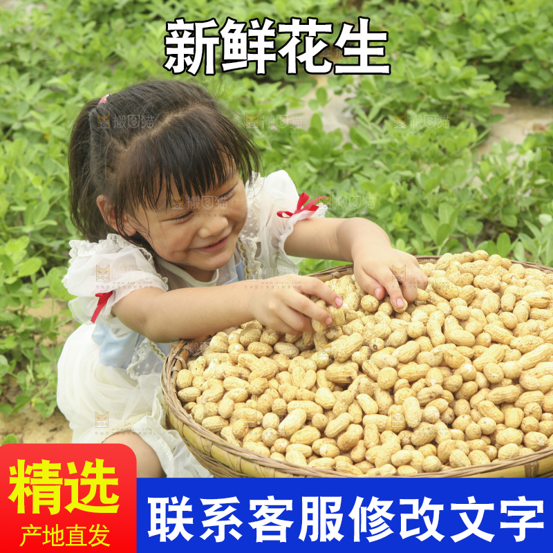 手里拿着现挖花生