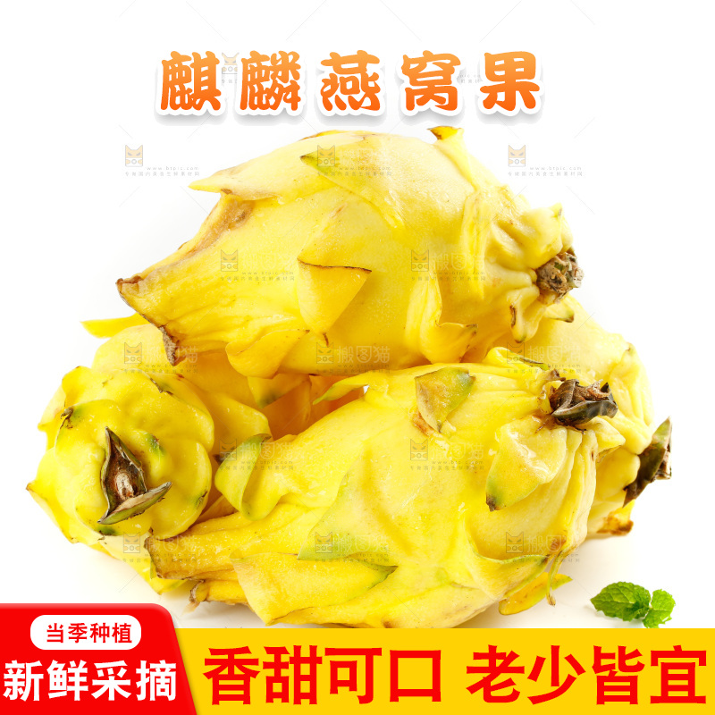 白底上的燕窝果