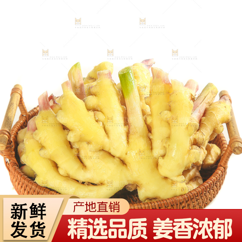 白底上的小黄姜